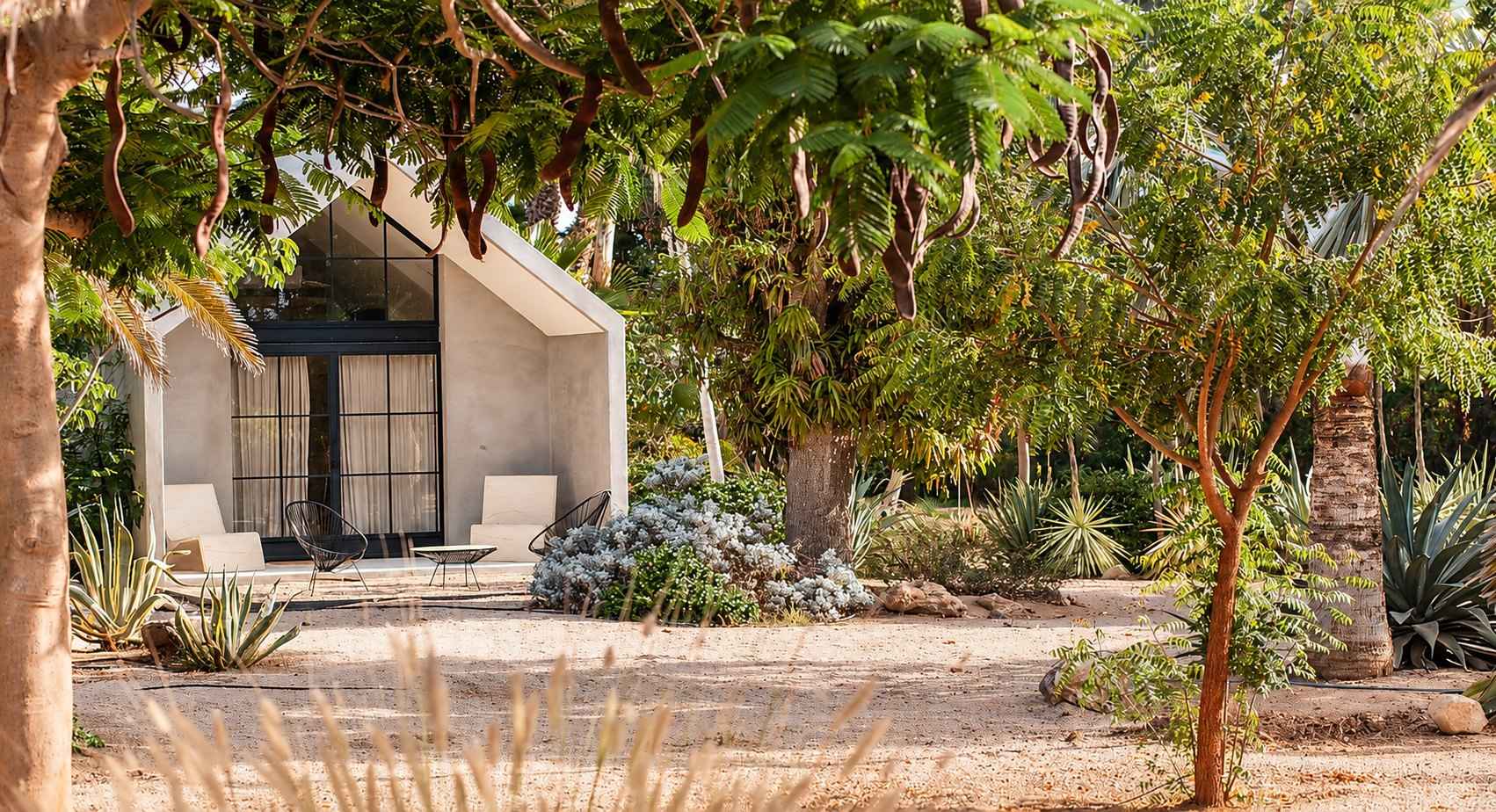 witness locations rancho cuatro patas todos santos gabled casita palm garden gravel courtyard