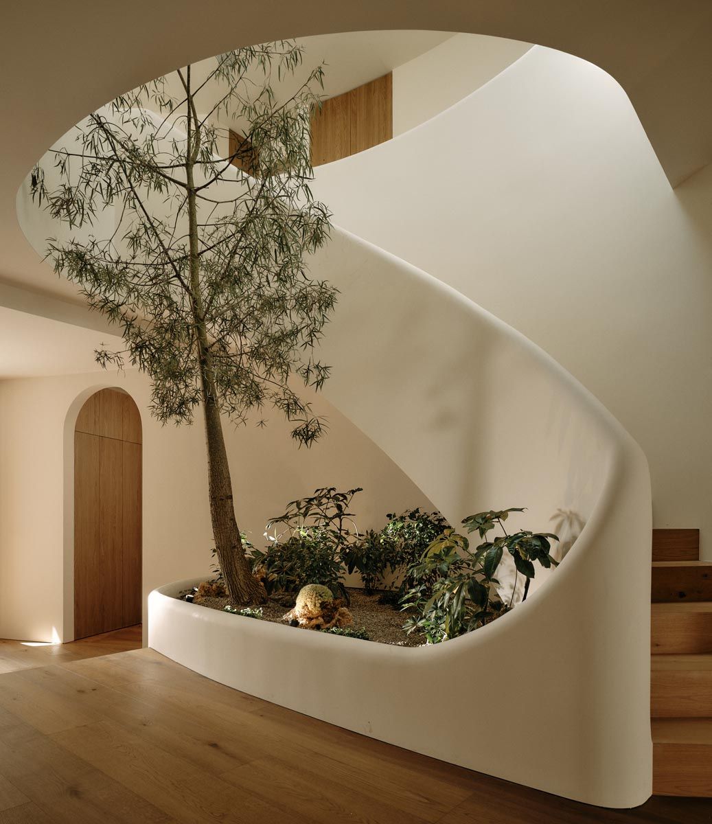 Sculptural plaster spiral stair curving around an indoor tree at Goodland Blanc, Studio City