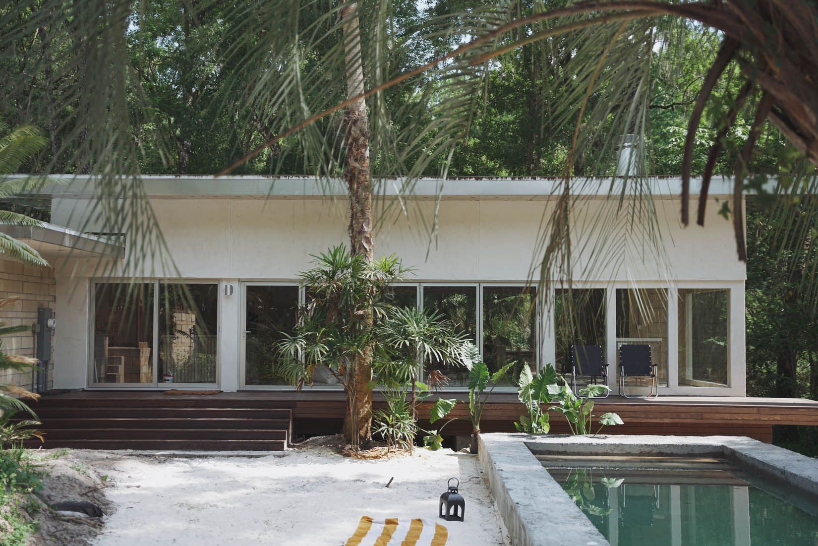 Modernist pavilion with a wall of windows behind a plunge pool and palms at The Sandhaus, Gainesville, Florida