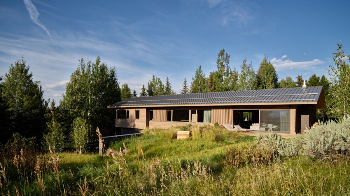 Long, low house in a wildflower meadow ringed by aspens and pines at Teton Modern, Jackson Hole