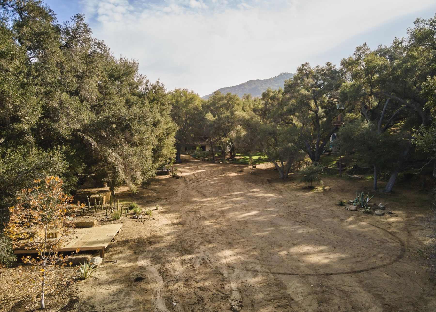 Oak-ringed meadow with mountains beyond at Cold Canyon Club, Malibu