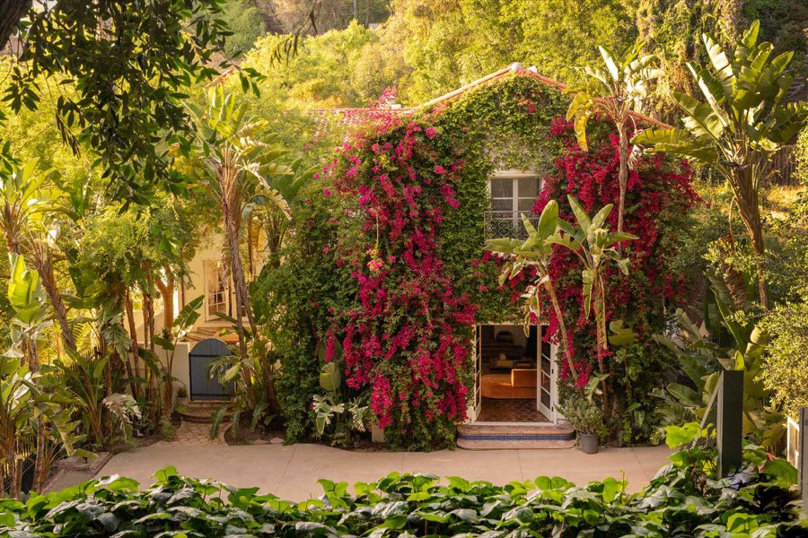 Sunlit entrance framed by bougainvillea
