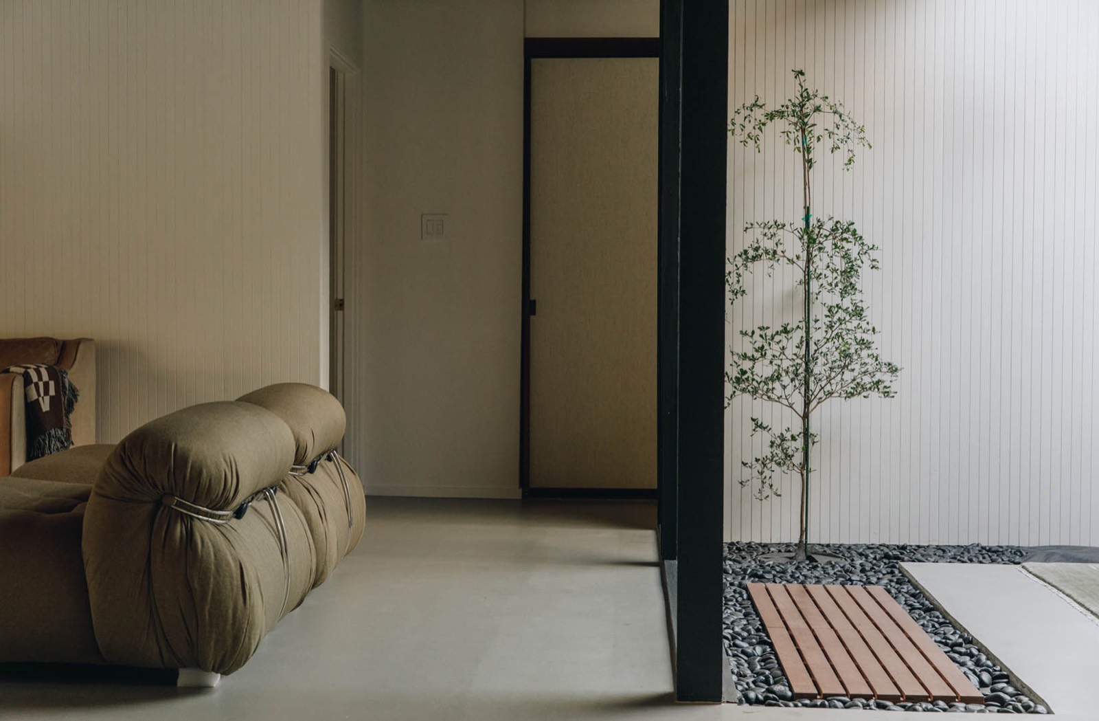 Quiet corner with a sculptural chair and a young tree at WHLF House