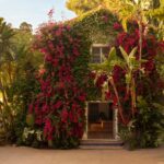 Mediterranean-style home framed by palms, agaves, and tropical landscaping in Beechwood Canyon